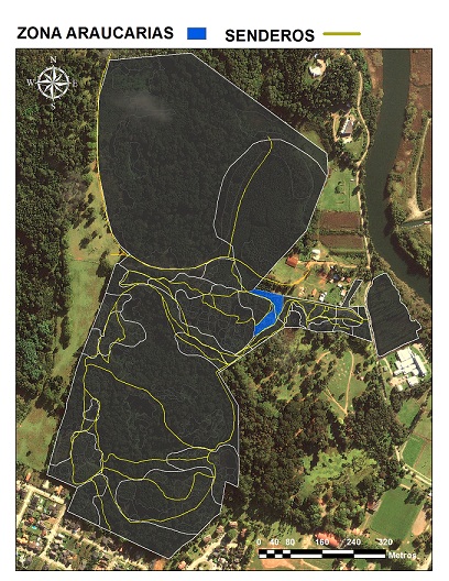 mapa araucaria